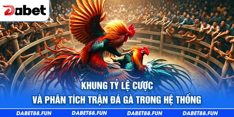 Khung tỷ lệ cược và phân tích trận đá gà trong hệ thống