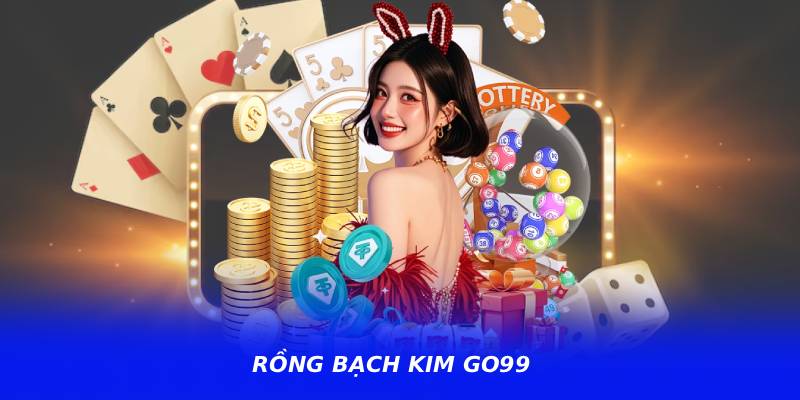 Rồng Bạch Kim GO99 – Hệ Thống Thống Kê Số Liệu Trực Quan